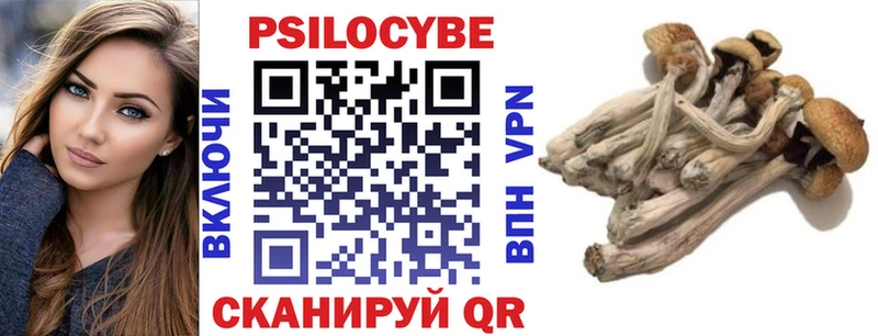 Псилоцибиновые грибы Cubensis  блэк спрут рабочий сайт  Вяземский 