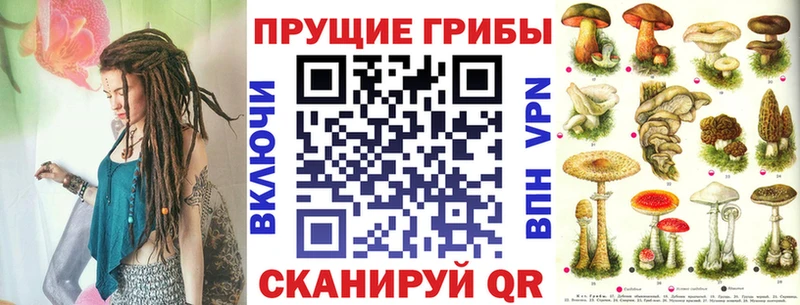 Псилоцибиновые грибы прущие грибы Вяземский